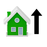 Portion (Upper)